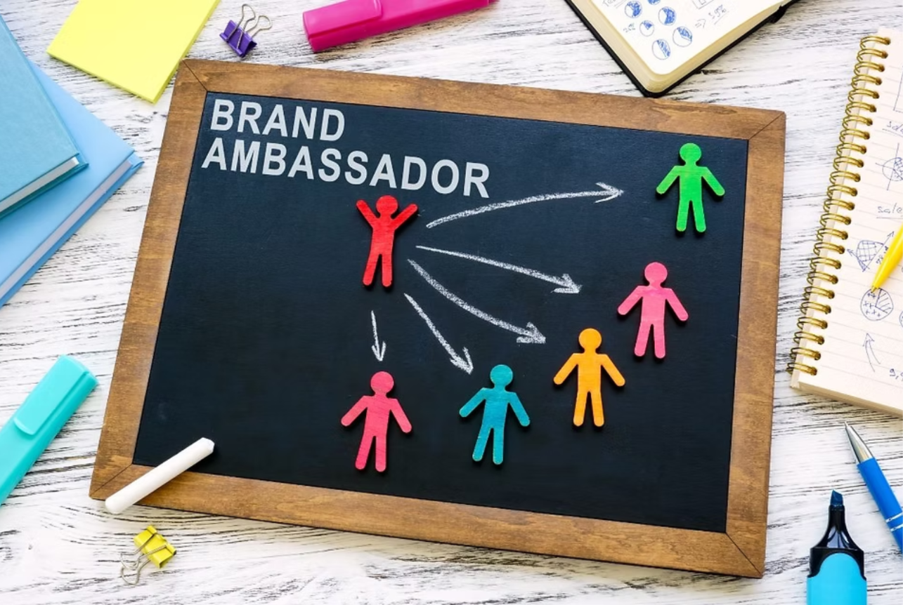 Brand Ambassador Programs